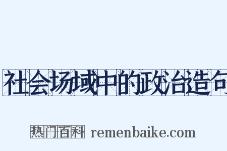 社会场域中的政治造句是什么意思的图片